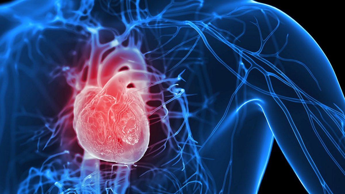 Medizinische Illustration des Brustkorbes mit rot markiertem Herz zur Verdeutlichung von Beschwerden.